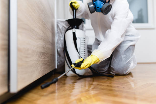 Best Affordable Pest Control Services  in Forest City, PA